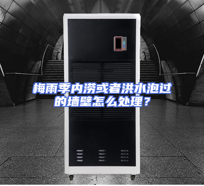 梅雨季内涝或者洪水泡过的墙壁怎么处理？