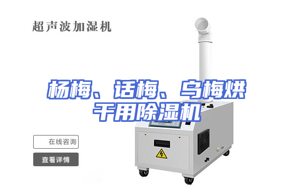 杨梅、话梅、乌梅烘干用除湿机