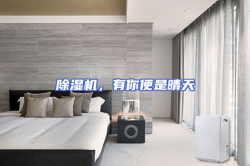 除湿机，有你便是晴天
