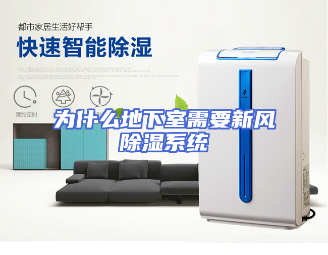 为什么地下室需要新风除湿系统