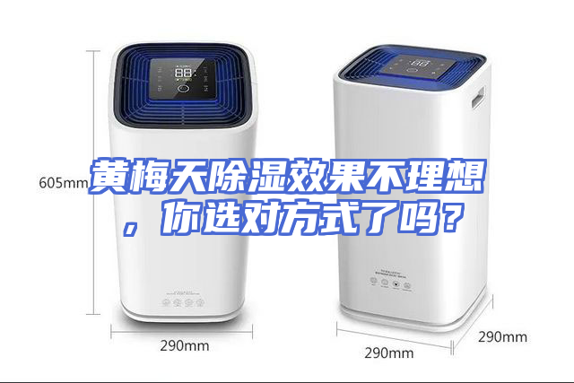 黄梅天除湿效果不理想，你选对方式了吗？
