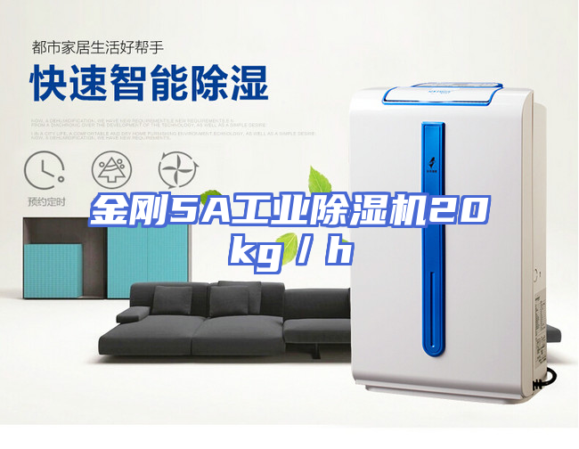 金刚5A工业除湿机20kg／h