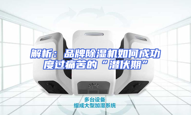 解析：品牌除湿机如何成功度过痛苦的“潜伏期”