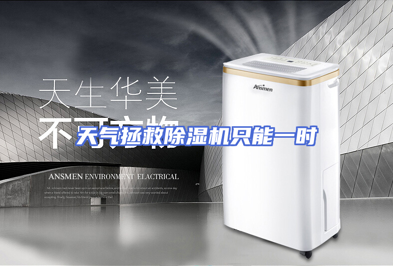 天气拯救除湿机只能一时