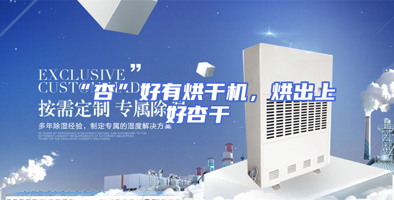 “杏”好有烘干机，烘出上好杏干