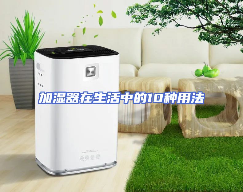 加湿器在生活中的10种用法
