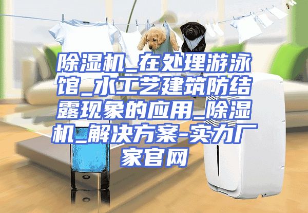 除湿机_在处理游泳馆_水工艺建筑防结露现象的应用_除湿机_解决方案-实力厂家官网