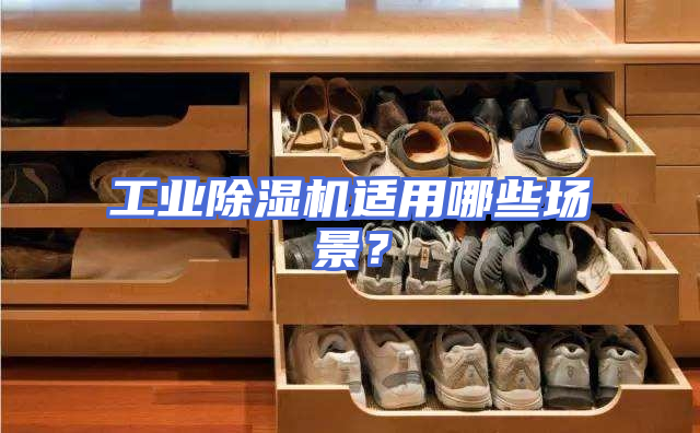 工业除湿机适用哪些场景？