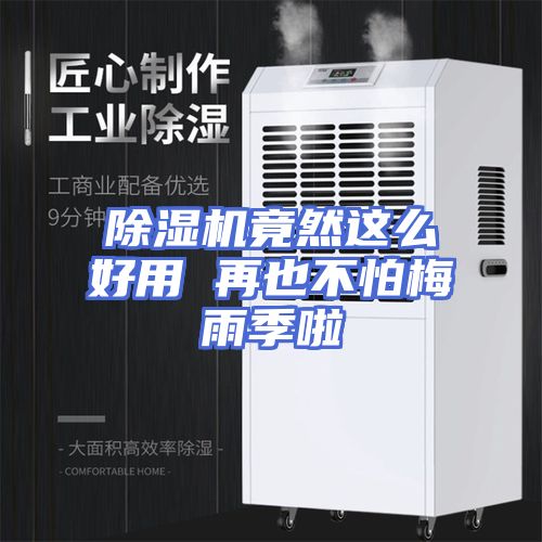 除湿机竟然这么好用 再也不怕梅雨季啦