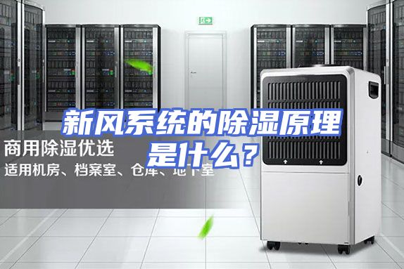 新风系统的除湿原理是什么？