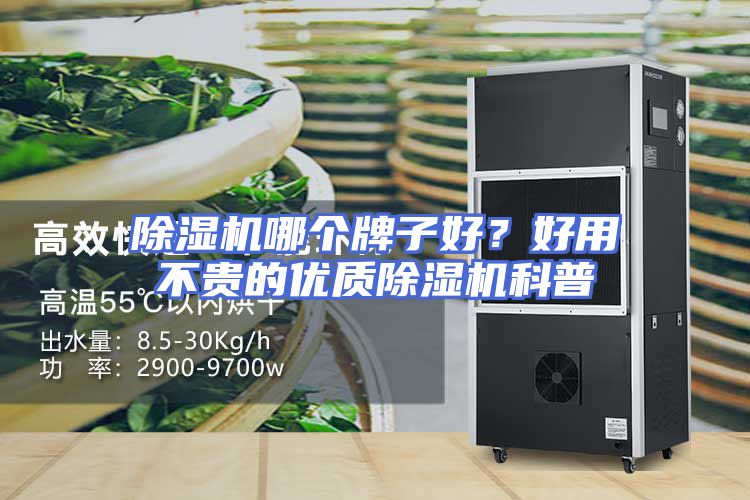 除湿机哪个牌子好？好用不贵的优质除湿机科普