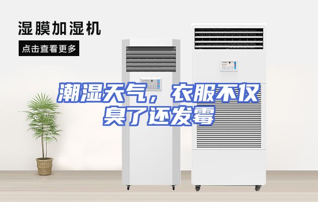 潮湿天气，衣服不仅臭了还发霉