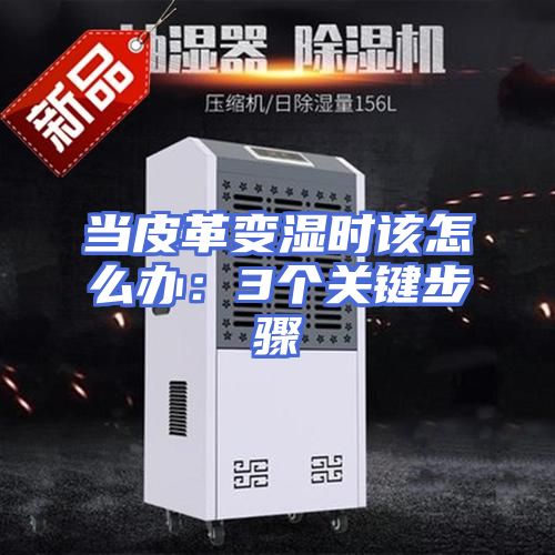 当皮革变湿时该怎么办：3个关键步骤