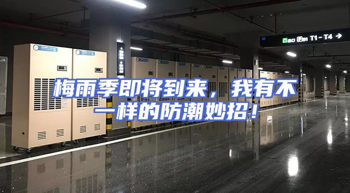 梅雨季即将到来，我有不一样的防潮妙招！