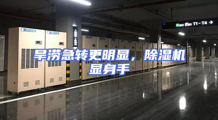 旱涝急转更明显，除湿机显身手