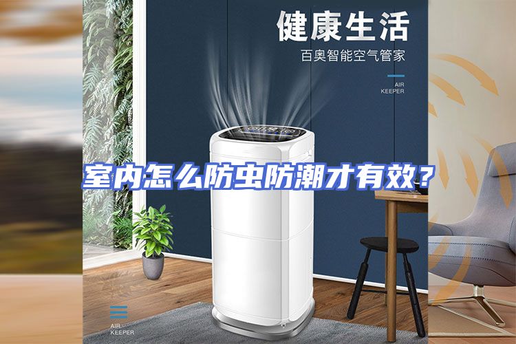 室内怎么防虫防潮才有效？
