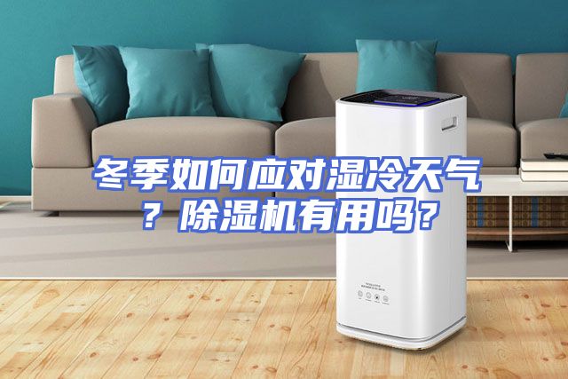 冬季如何应对湿冷天气？除湿机有用吗？