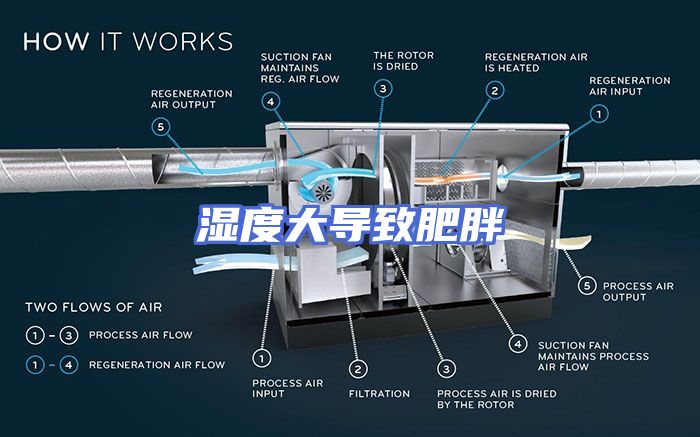 湿度大导致肥胖