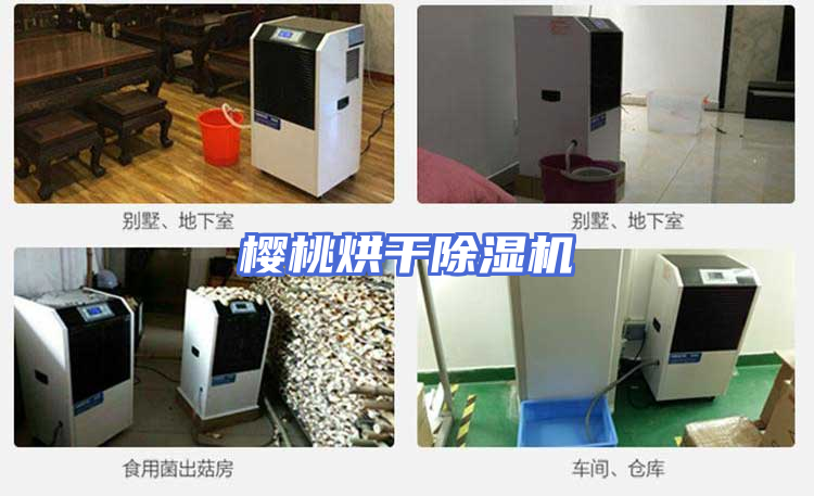 樱桃烘干除湿机