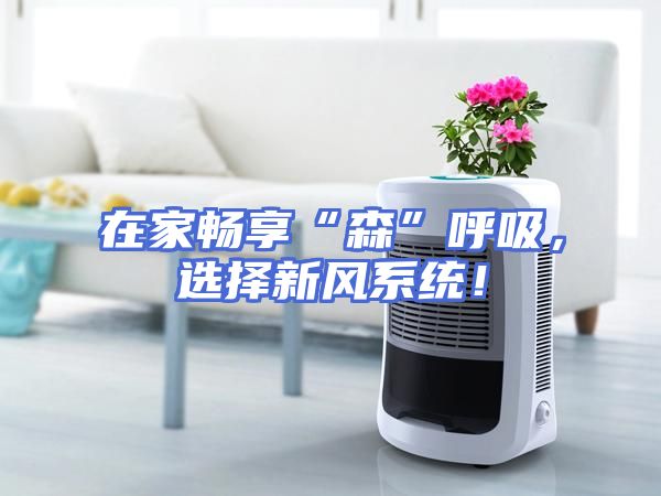 在家畅享“森”呼吸，选择新风系统！