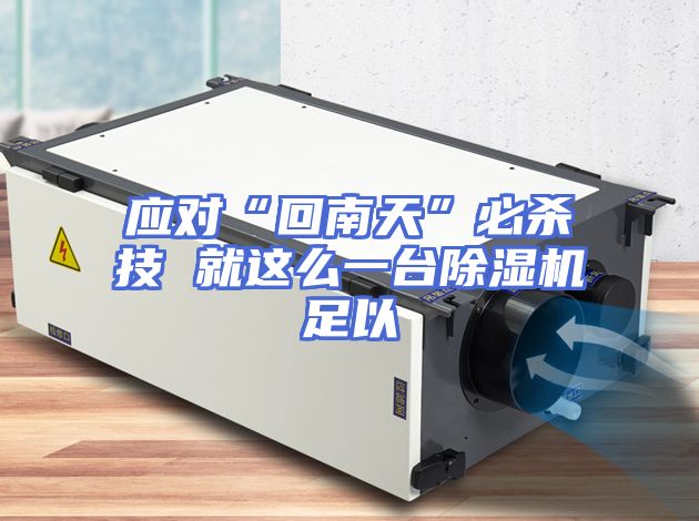 应对“回南天”必杀技 就这么一台除湿机足以