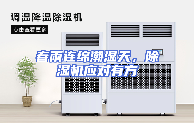 春雨连绵潮湿天，除湿机应对有方