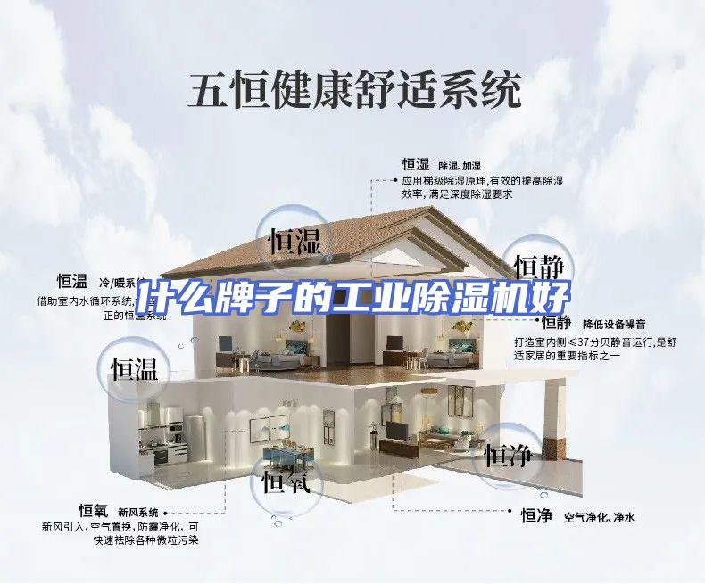 什么牌子的工业除湿机好