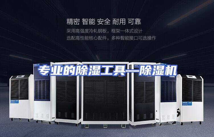 专业的除湿工具—除湿机