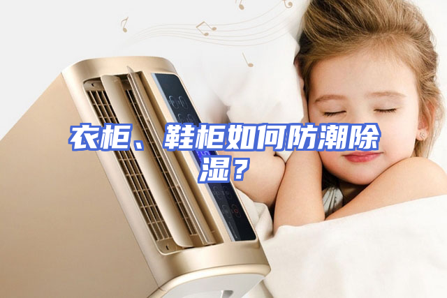 衣柜、鞋柜如何防潮除湿？