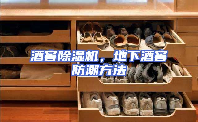 酒窖除湿机，地下酒窖防潮方法