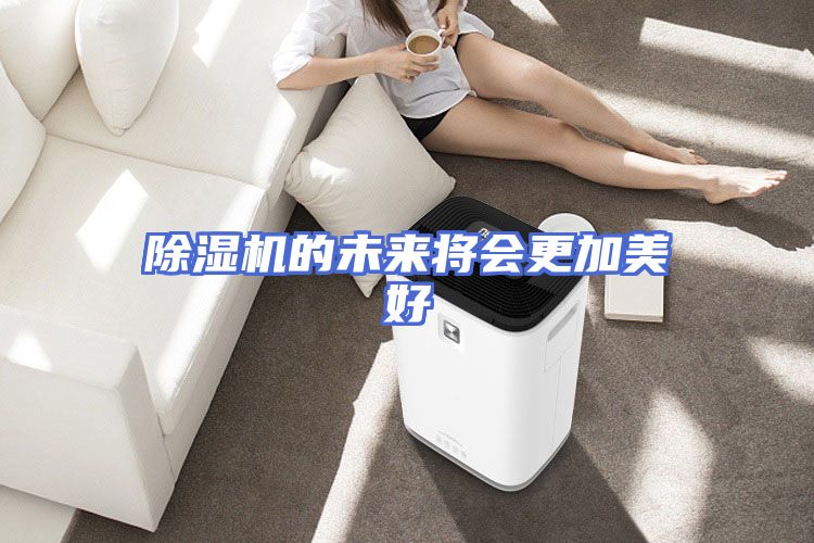 除湿机的未来将会更加美好