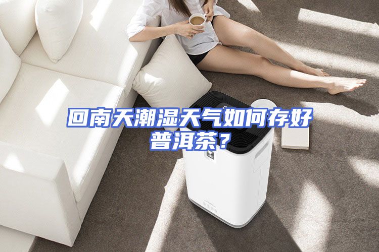 回南天潮湿天气如何存好普洱茶？