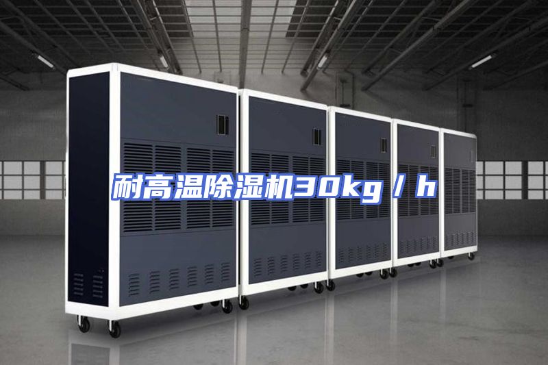 耐高温除湿机30kg／h