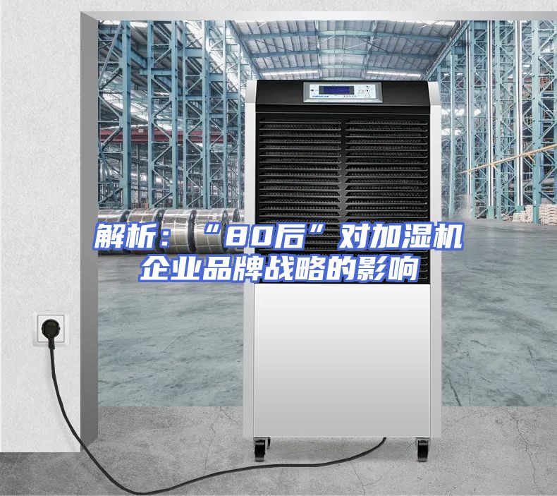 解析：“80后”对加湿机企业品牌战略的影响