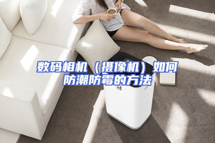数码相机（摄像机）如何防潮防霉的方法