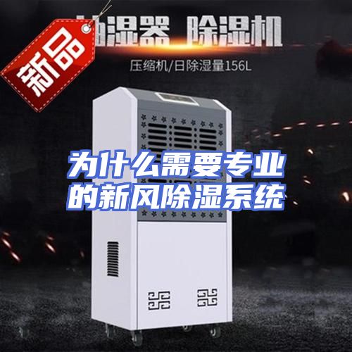 为什么需要专业的新风除湿系统