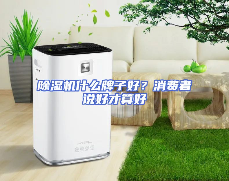 除湿机什么牌子好？消费者说好才算好