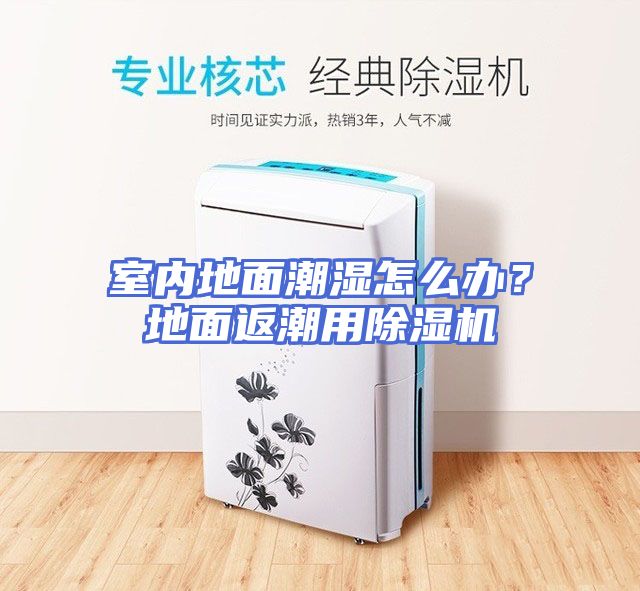 室内地面潮湿怎么办？地面返潮用除湿机