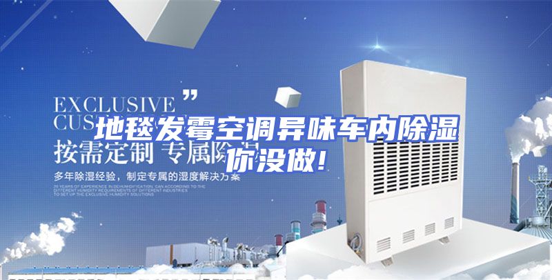 地毯发霉空调异味车内除湿你没做!