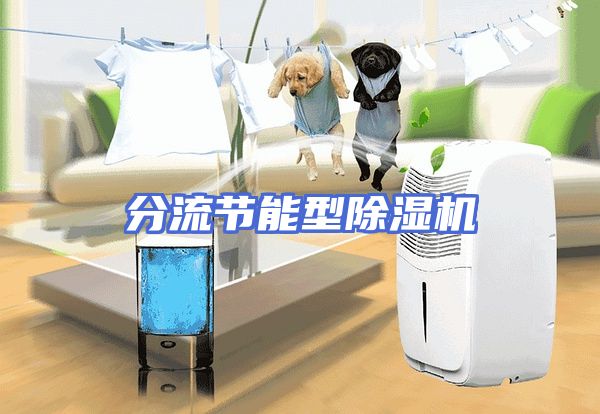 分流节能型除湿机