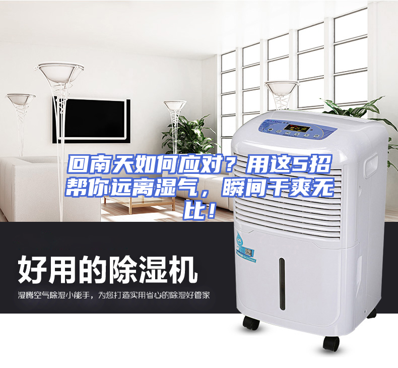 回南天如何应对？用这5招帮你远离湿气，瞬间干爽无比！