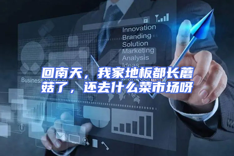 回南天，我家地板都长蘑菇了，还去什么菜市场呀