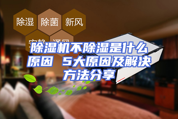 除湿机不除湿是什么原因 5大原因及解决方法分享