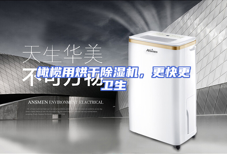 橄榄用烘干除湿机，更快更卫生