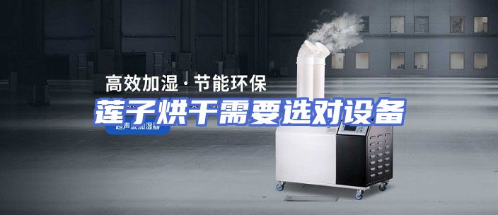 莲子烘干需要选对设备