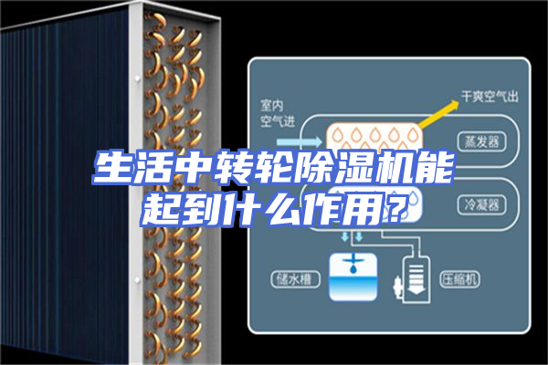 生活中转轮除湿机能起到什么作用？