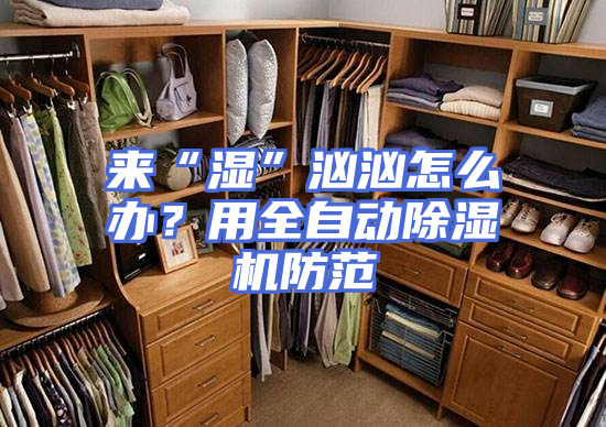 来“湿”汹汹怎么办？用全自动除湿机防范