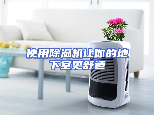使用除湿机让你的地下室更舒适