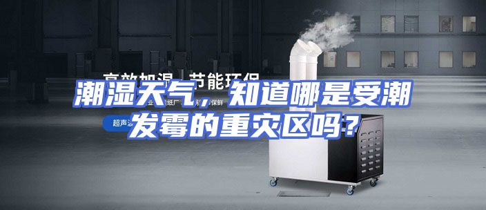 潮湿天气，知道哪是受潮发霉的重灾区吗？