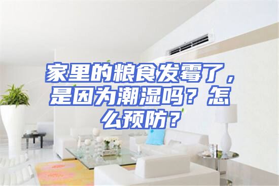 家里的粮食发霉了，是因为潮湿吗？怎么预防？